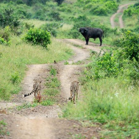 Sungulwane Private Game Lodge Глуглуве Екстер'єр фото