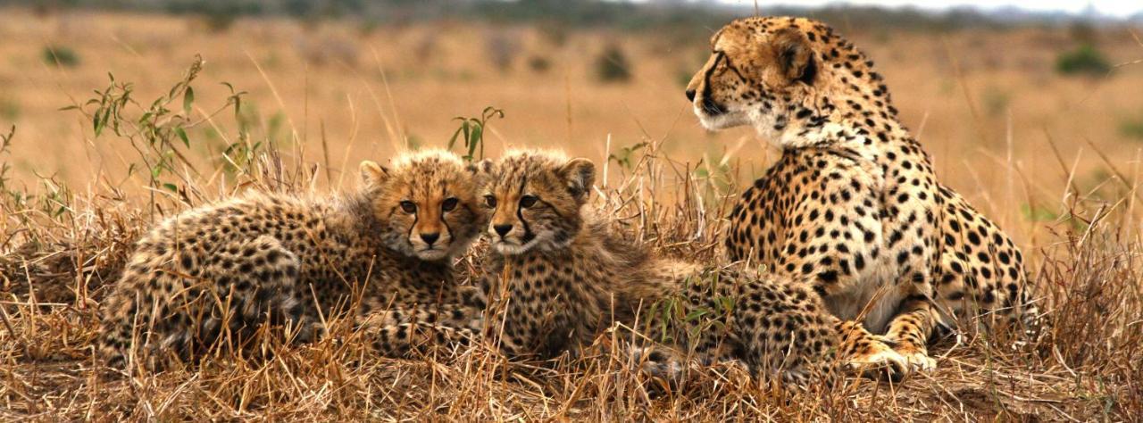 Sungulwane Private Game Lodge Глуглуве Екстер'єр фото