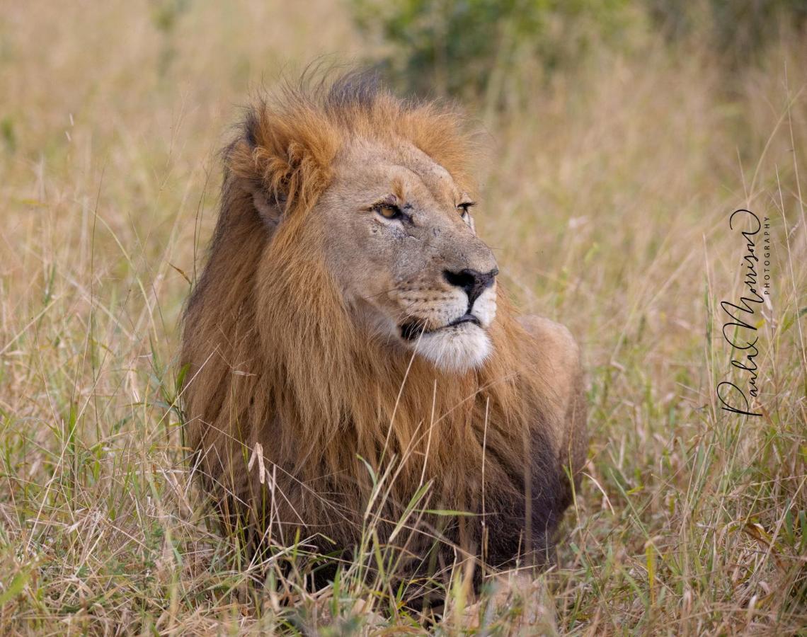 Sungulwane Private Game Lodge Глуглуве Екстер'єр фото