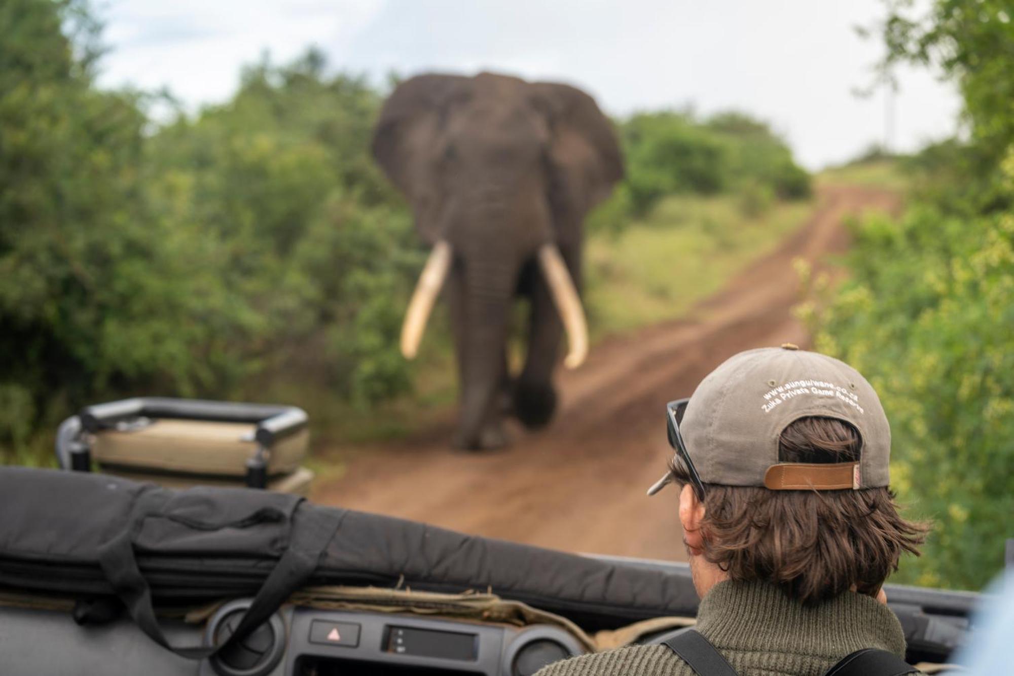 Sungulwane Private Game Lodge Глуглуве Екстер'єр фото