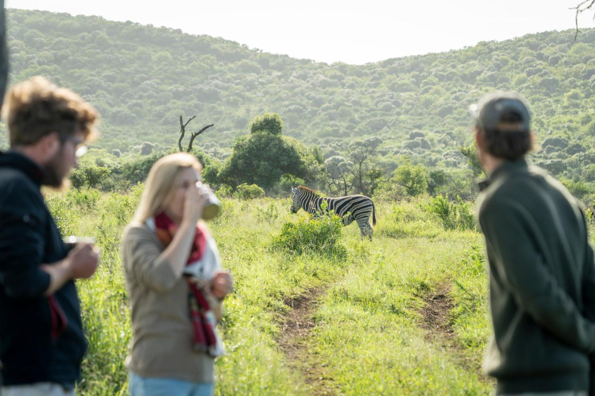 Sungulwane Private Game Lodge Глуглуве Екстер'єр фото